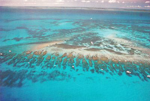 Looe Key Reef is an area of Florida Keys National Marine Sanctuary about 6 miles south of Big Pine Key.