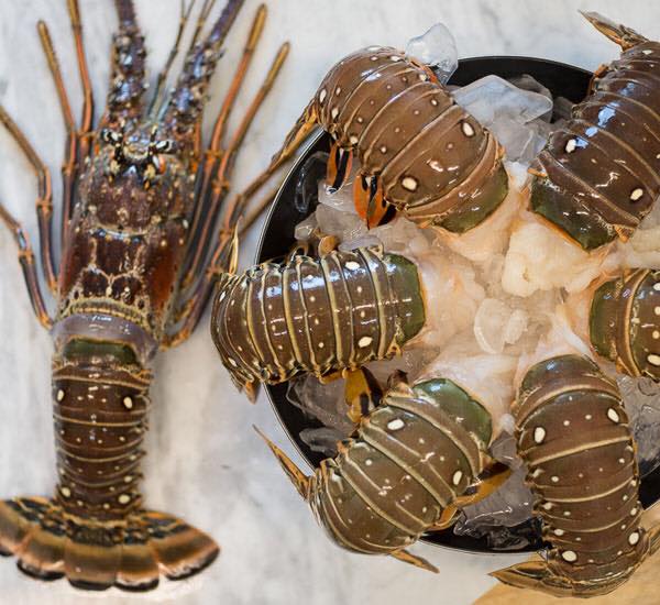Famous for its sweet and tender meat, the Keys’ spiny lobster often is served steamed with drawn butter, paired with a seasoned stuffing or in innovative dishes conceived by local chefs.