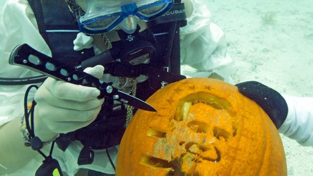 Underwater Pumpkin Carving Contest (c) Bob Care Florida Keys News Bureau