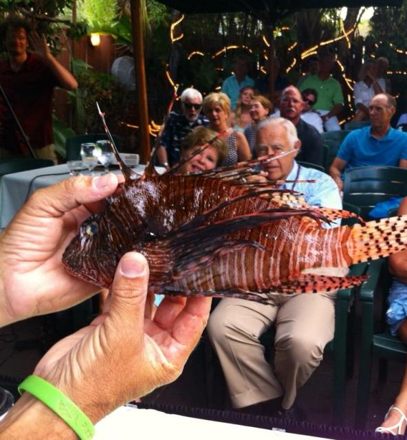 The open-to-the-public lionfish festival includes lionfish filleting and dissection demonstrations, sample tastings and more. 