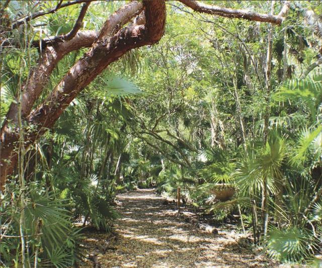 The property is acclaimed as the only frost-free tropical moist forest garden in the continental United States.