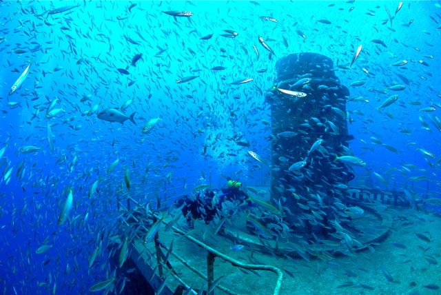 Divers exploring artificial reefs. Credit Don Kincaid