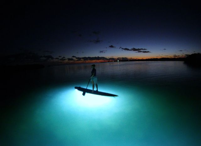 Nighttime paddling trips are enhanced by waterproof LED light bars that illuminate the underwater environment.  