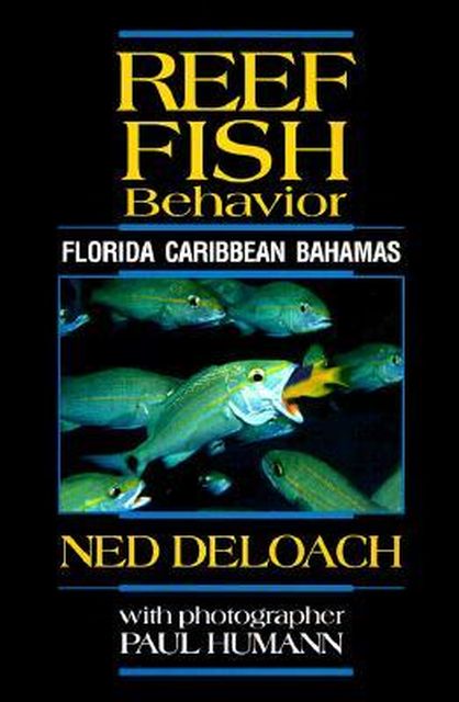 Ned and Ana DeLoach are to introduce their much-anticipated second edition of Reef Fish Behavior – Florida, Caribbean, Bahamas.
