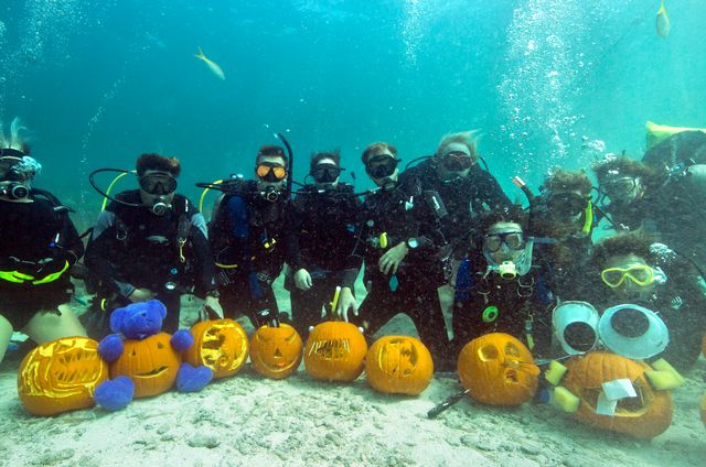 Top three pumpkins are selected by judges to win dive trips, merchandise and more.