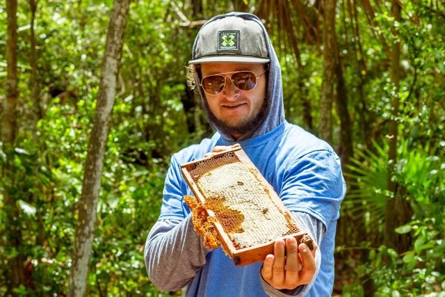 Inspecting honeycombs from hives on the Keys Cable Park & Botanical Garden property.