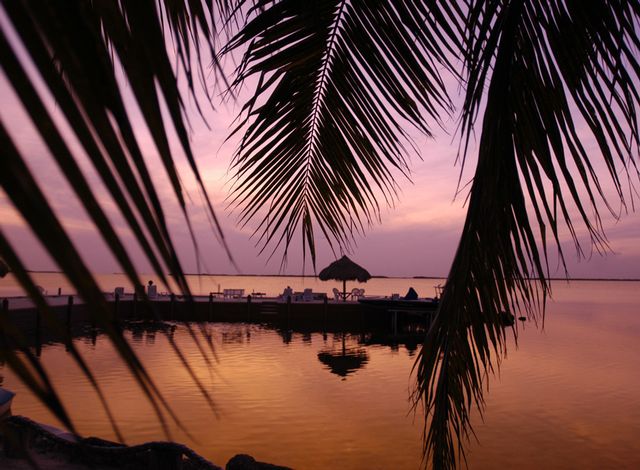 Key Largo has been the setting of movies, the home to abundant wildlife and a favorite destination for scuba diving. 