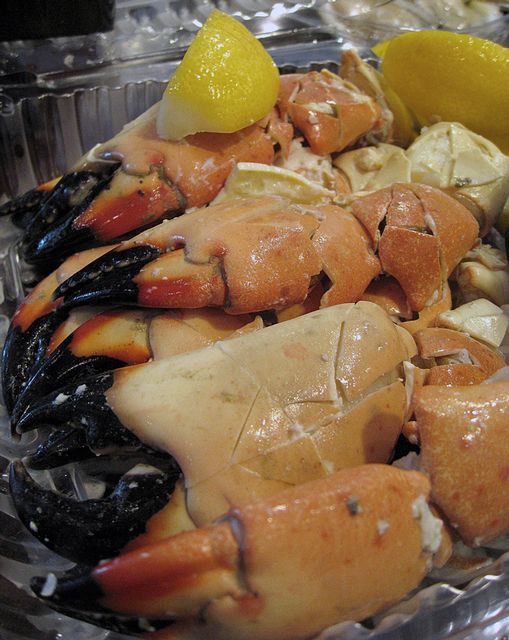 The orange-red, pale yellow and black stone crab claws contain a sweet and tender meat that’s among the Keys’ most popular delicacies. 