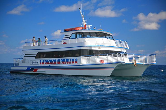 Glass-bottom boat tours are available at John Pennekamp Coral Reef State Park.