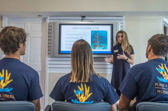 Each dive program begins with a brief presentation about coral health, corals’ function in marine ecosystems, environmental impacts on coral reefs.