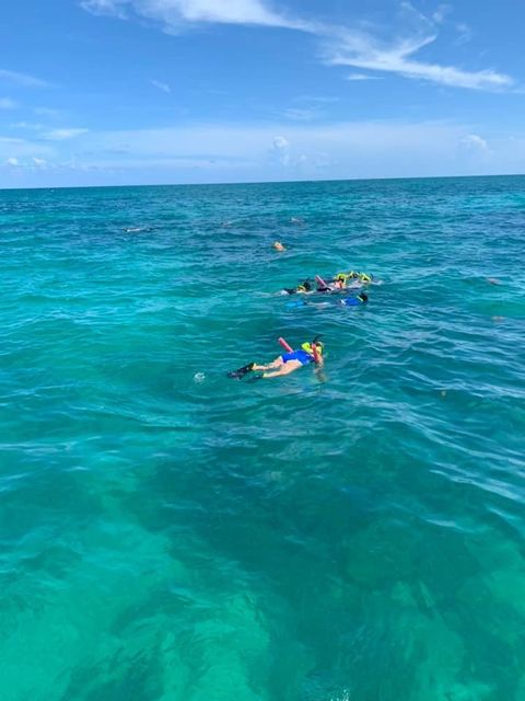 Scuba divers, snorkelers, anglers and watersports enthusiasts visit the Florida Keys annually to dive or snorkel the United States’ only living coral reef and enjoy Keys waters. 