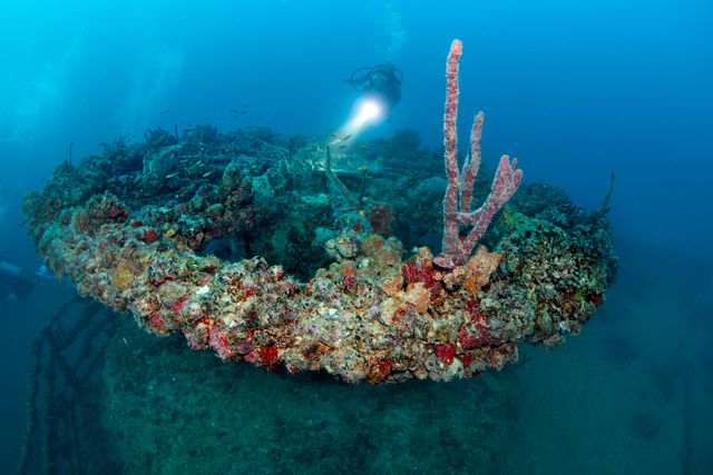 The wreck is encrusted with colorful soft corals and sponges. Image: Stephen Frink/Florida Keys News Bureau 