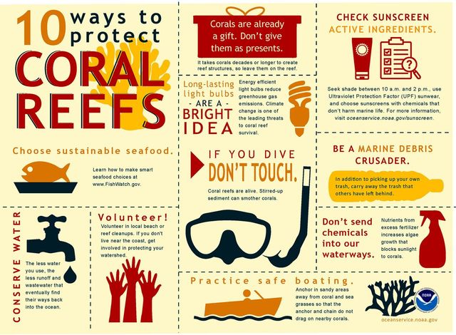 While diving and boating, please protect Florida Keys' coral reefs.
