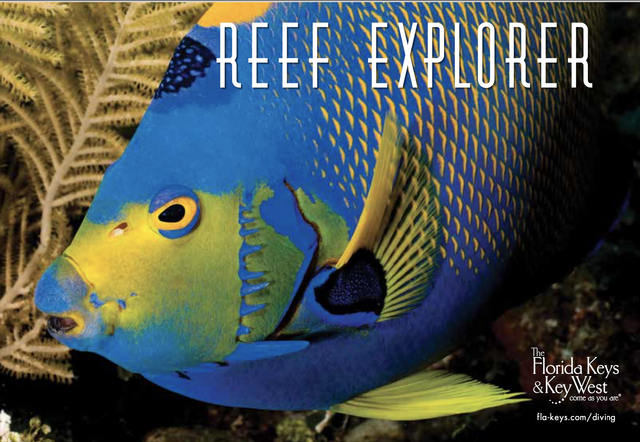 'Become a Reef Explorer' contestants can test their Florida Keys knowledge by answering a series of marine-centric trivia questions. 
