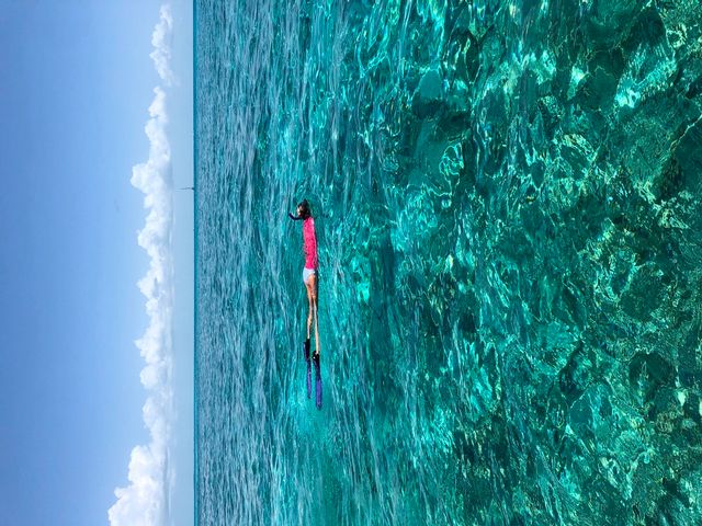 Snorkeling the shallow, clear reefs is an unmatched activity that can be enjoyed by everyone. Image: Malorie Young/Florida Keys Photo Adventure 