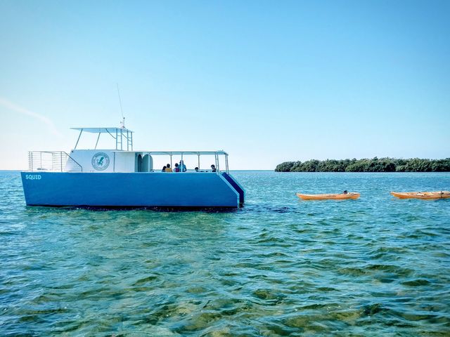Take an unforgettable voyage aboard SQUID, Key West's first electric-powered charter boat, during an Honest Eco dolphin watch and guided snorkel excursion.
