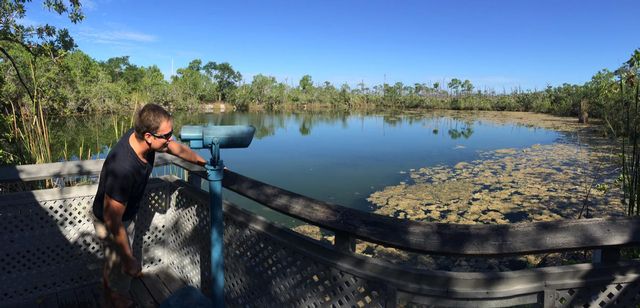 In Big Pine Key, discover wildlife in all forms at the Blue Hole. 