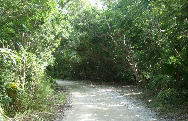 Nature trails abound inside the lush Crane Point Hammock & Nature Museum.