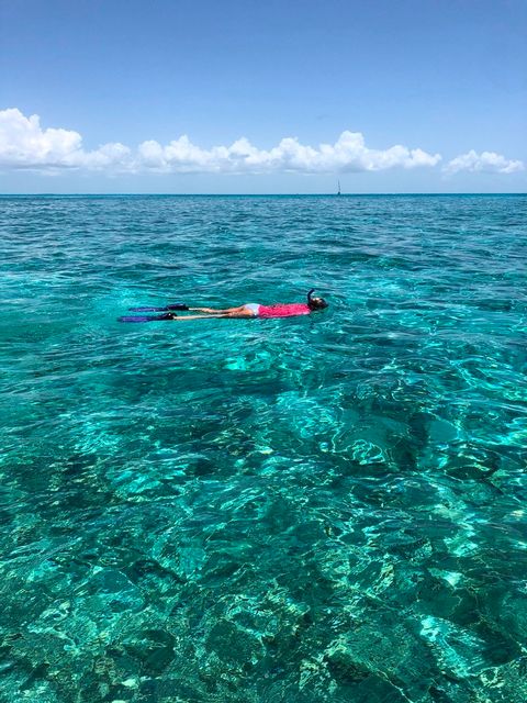 Snorkel or dive in the protected Florida Keys National Marine Sanctuary.
