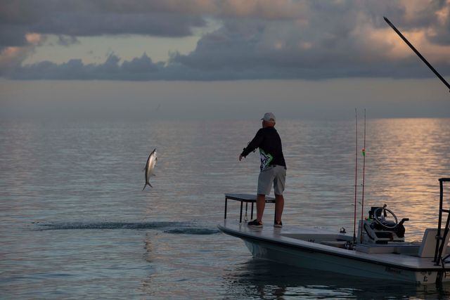 Key Largo backcountry shares boundaries with Everglades National Park, with some of the best tarpon fishing. Image: Capt. Rick Murphy