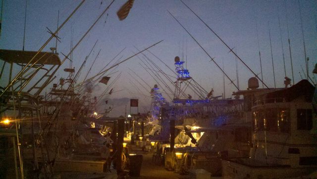 Before dawn, boats are rigged and ready. Image: Key West Marlin Tournament 