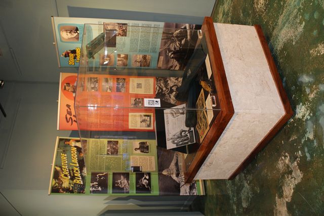 The exhibition represents a variety of diving themes in literature, television, comics, games, books, music, attractions and collectibles. 