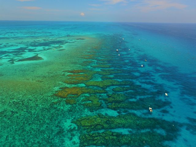 The Florida Keys is home to the continental United States’ only coral barrier reef.