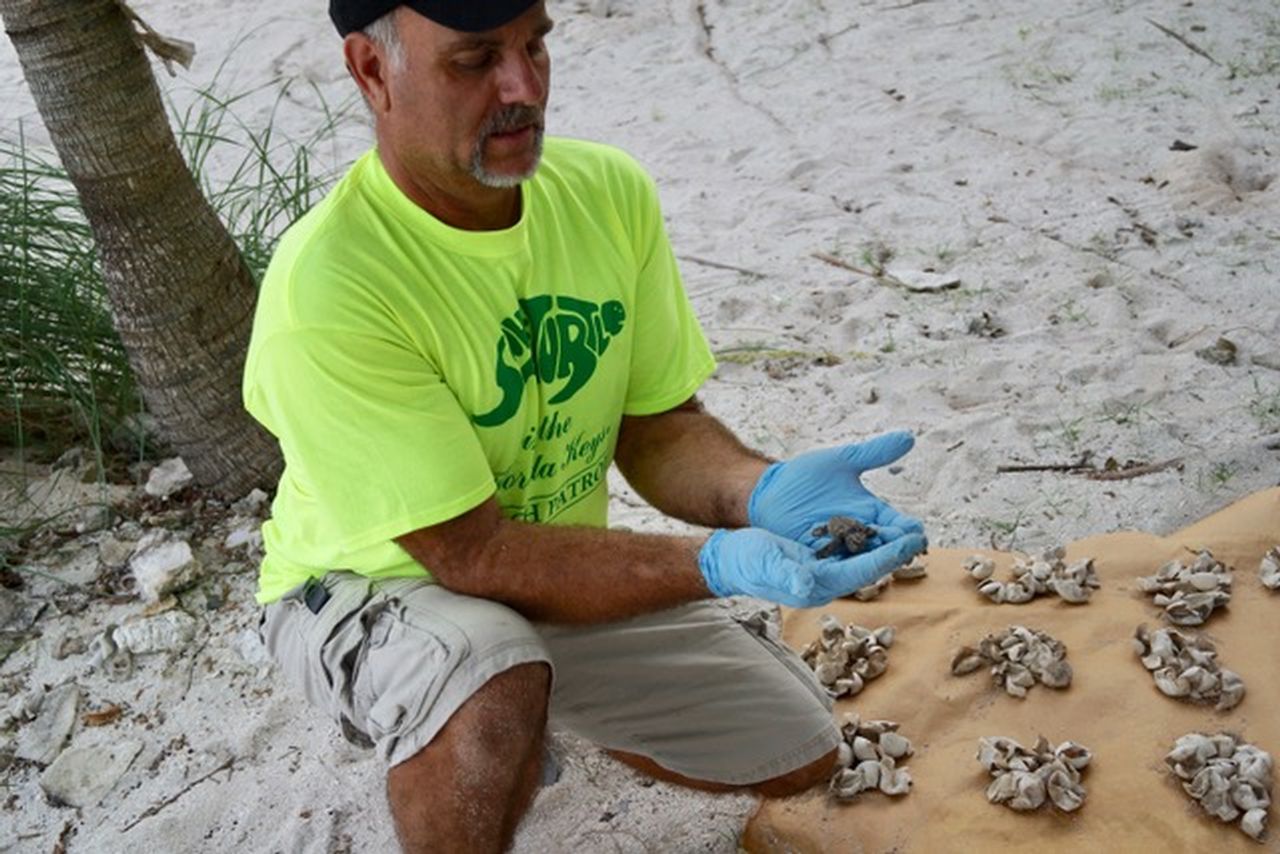 Appel is deeply involved with the nonprofit Save-A-Turtle of the Florida Keys.