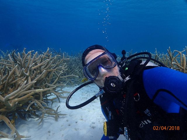 Nedimyer diving among a staghorn coral thicket. He said he is energized by the successes in restoring reefs, although there remains much work to do.