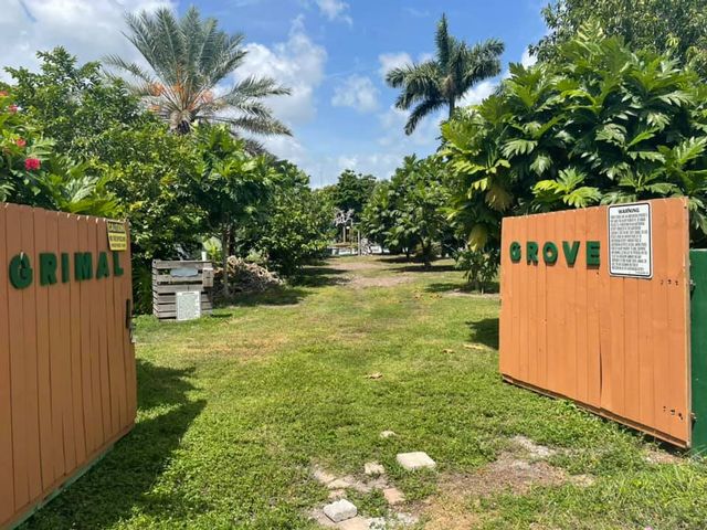The 2-acre fruit farm Grimal Grove is billed as the first and only breadfruit grove in the continental United States. 