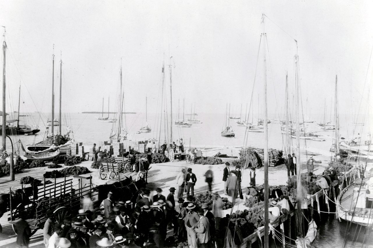Sponge sale on the dock of the Key West Bight at the foot of Elizabeth Street, c.1890. Photo: Key West Art & Historical Society