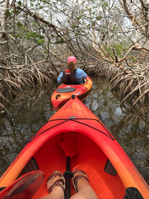 Kayak tours along the mangrove forests are a popular choice in the natural Lower Keys. 