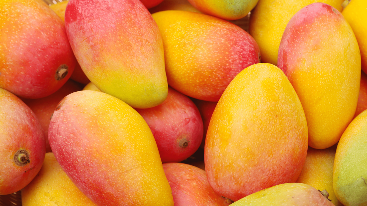 Fans of the mouthwatering fruit can enjoy artisans’ wares, exhibits, mango merchandise and enticing edibles incorporating the delicacy, during the festival. Images: Mango Fest
