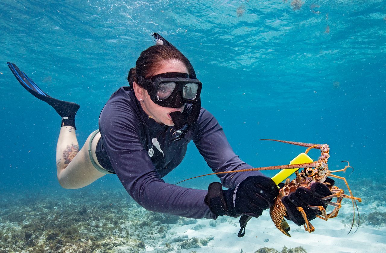 Learn best practices for safety and success, including interactive videos with need-to-know dive and boating safety tips, and up-to-date rules and regulations for lobster hunting in the Keys.