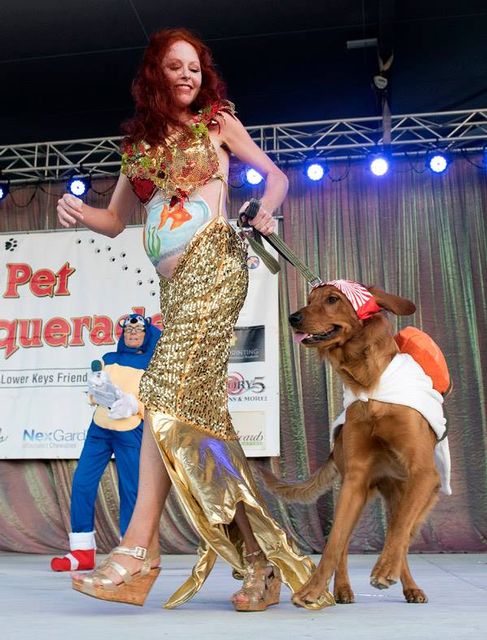 Meredith Dunning competes with her dog Scuppers onstage. Image: Rob O'Neal