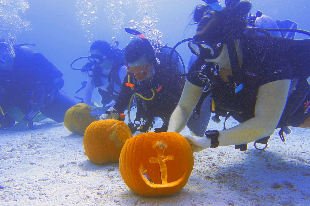Divers sculpt jack-o-lanterns during the annual Underwater Pumpkin Carving Contest in the Florida Keys National Marine Sanctuary off Key Largo, Fla. 