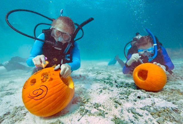 The prize for top pumpkin is a dive trip for two to Amoray Dive Resort in Key Largo, along with bragging rights. 