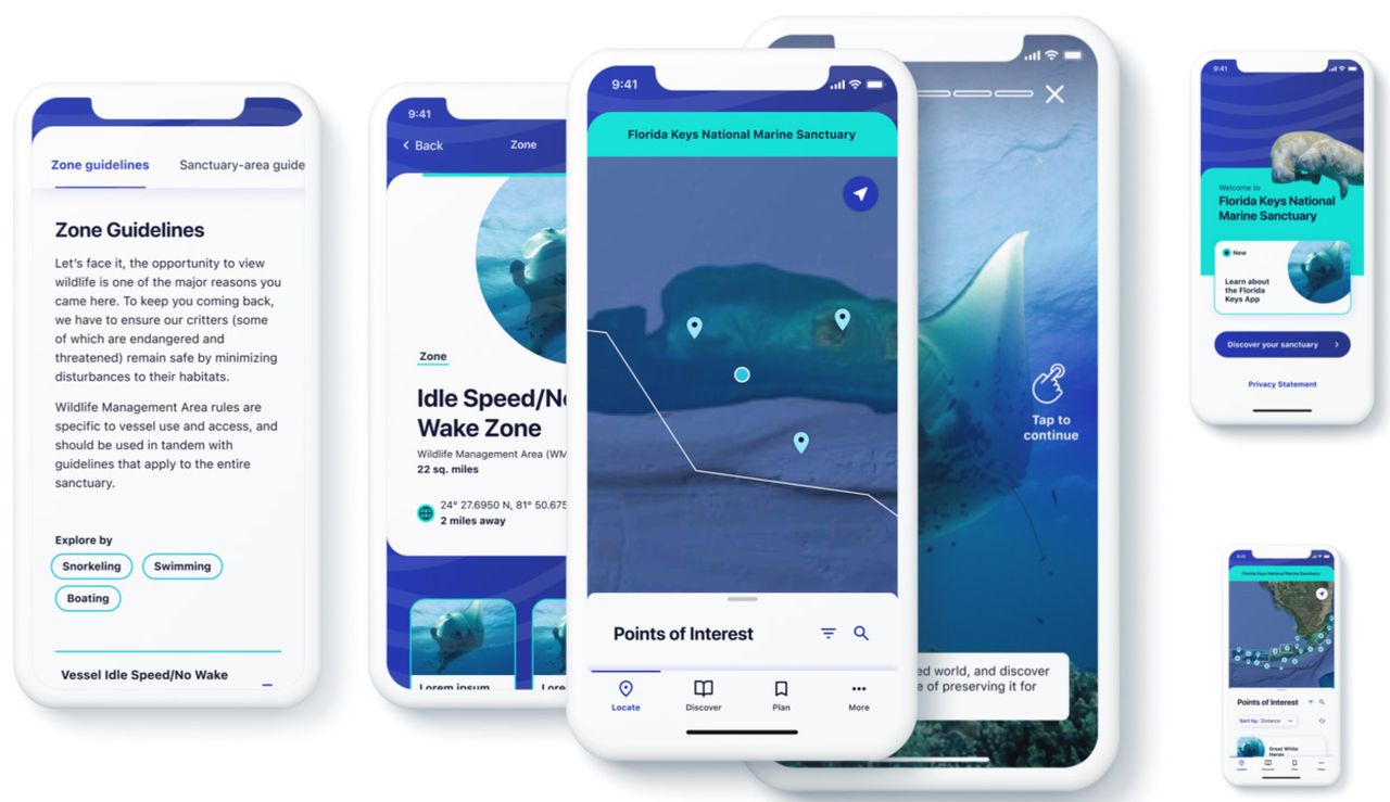 The new Marine Sanctuary Explorer app is free to download for iOS (Apple) and Android devices.