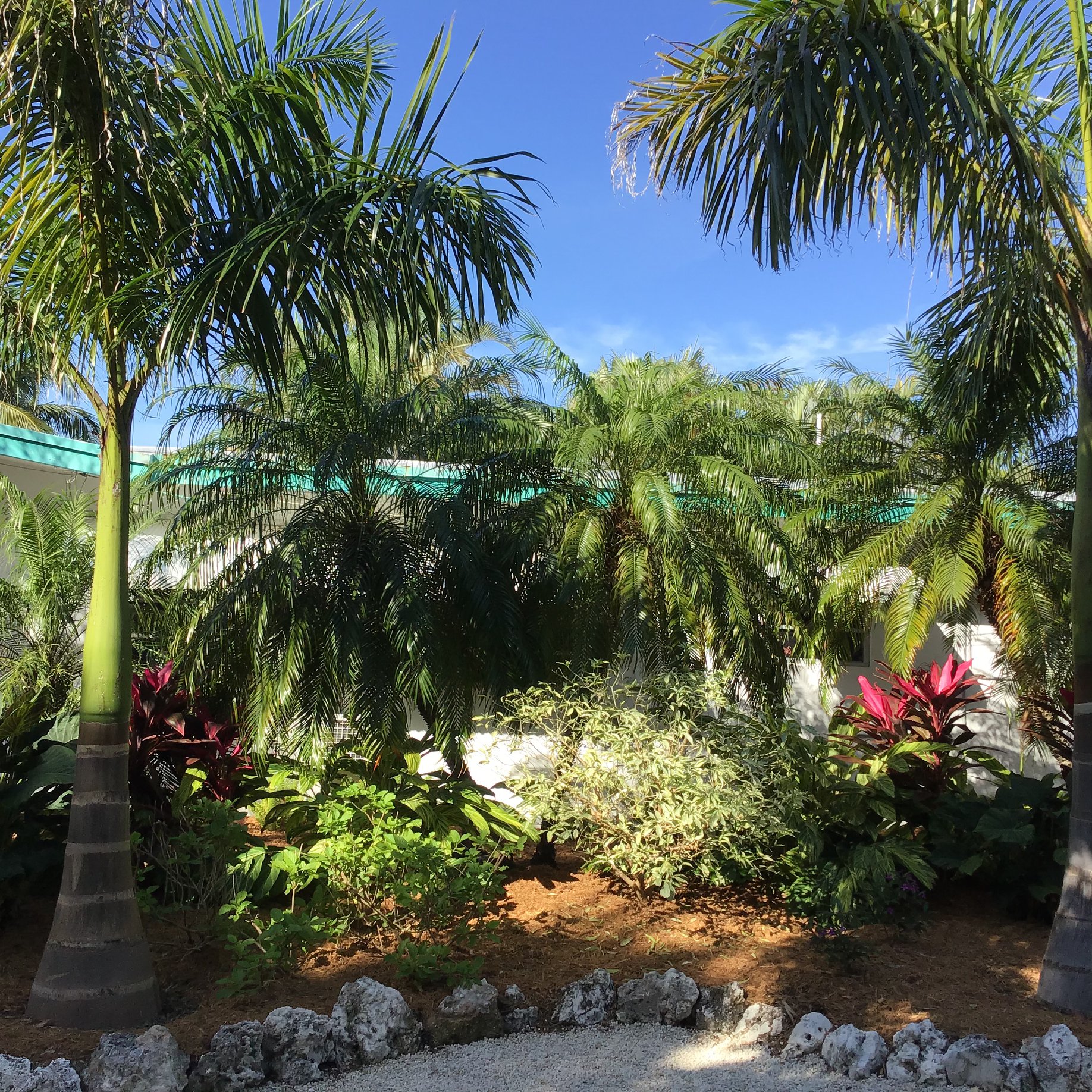 Garden Walk attendees will stroll through spectacular private gardens filled with lush landscaping while gathering inspiration for tropical gardening. 