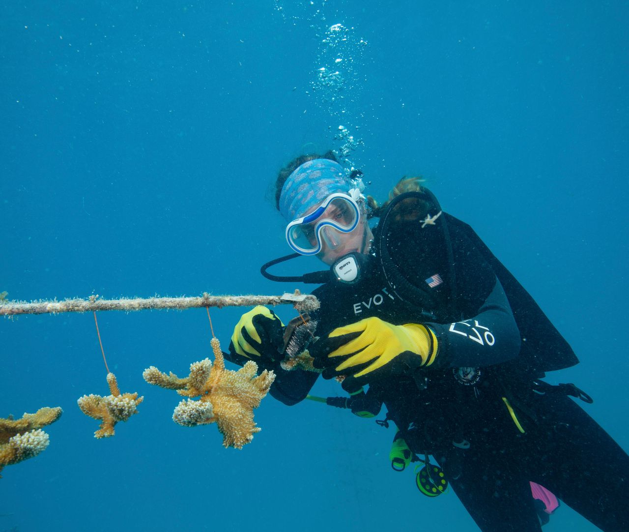 Captain Hook's dive center partners with Reef Renewal USA for a coral tree planting and maintenance dive on Earth Day. Photo courtesy Reef Renewal USA. 