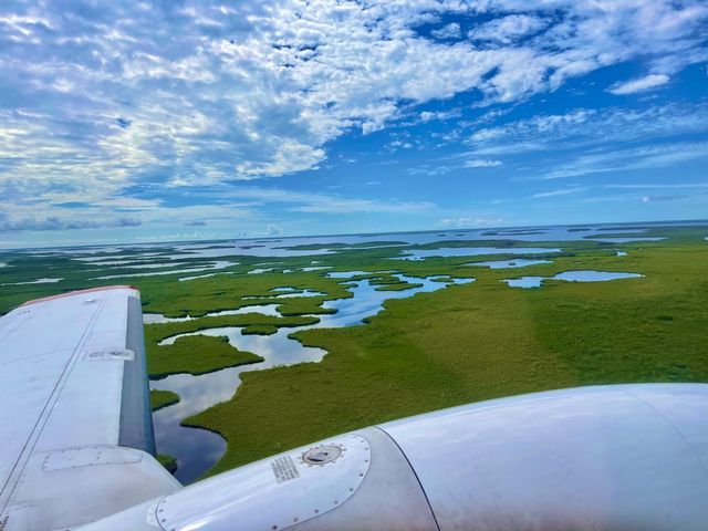 NASA researchers aboard Blueflux project aircraft monitor the amount of atmospheric carbon absorbed by mangrove trees. Photo: Lawrence Grippo