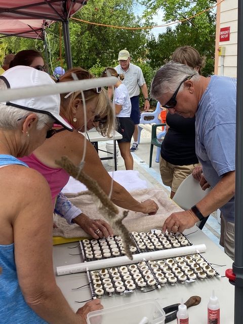 Volunteers learn to cut coral into fragments for placement in coral nurseries on Keys reefs. 