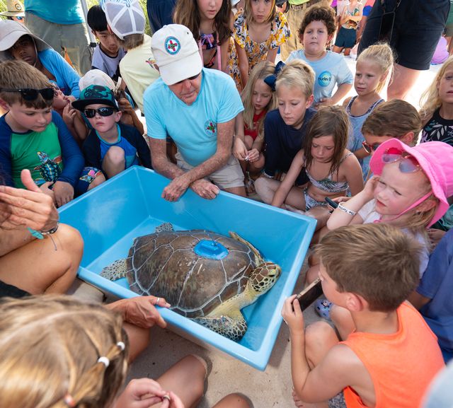 Richie Moretti, founder of the Keys-based Turtle Hospital, watches as children get a close look at Marcia before her release. Photo: Andy Newman