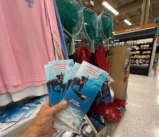 Printed brochures with all the information you need for lobster mini-season and regular lobster season can be found at Public and Winn-Dixie supermarkets in the Keys. 