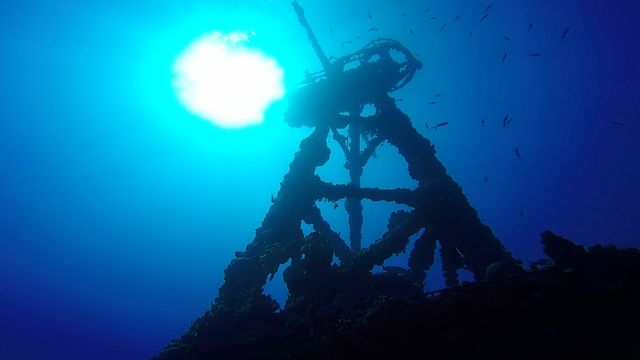 Explore fascinating shipwrecks in the Florida Keys on Destination Dive. 