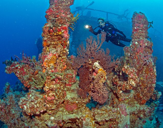 Thousands of species of fish and marine life populate the Spiegel Grove shipwreck, its own living ecosystem covered in coral growth, as shown in this file photo. Photo: Stephen Frink