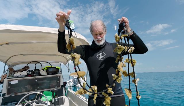 Ken Nedimyer with Reef Renewal moves a string of nursery-raised coral to a new nursery site in deeper water. Photo: Bob Care