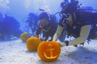 Geistersuche, Kürbisschnitzen unter Wasser, Zombies auf Rädern: Halloween auf den Florida Keys