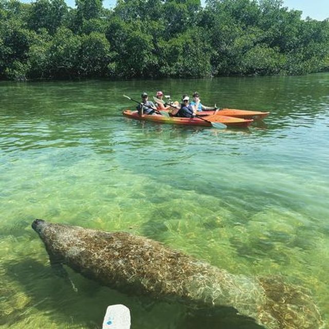 The crew at Lazy Dog encourages paddlers to respect wildlife and to volunteer for local island cleanups to remove trash from  the waterways. 