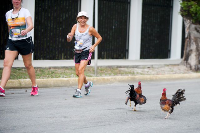 Participants in the race enjoy some Key West color along the route. Photo: Rob O'Neal